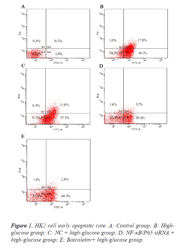 biomedres-apoptatic-rate