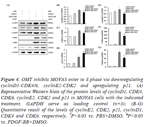 biomedres-apoptosis-detection