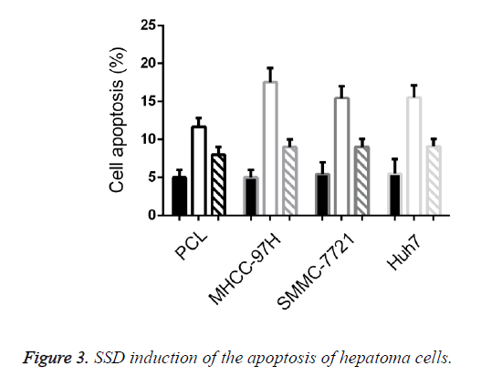 biomedres-apoptosis-hepatoma