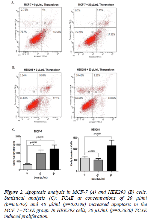 biomedres-apoptosis-proliferation