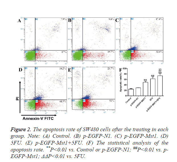 biomedres-apoptosis-rate