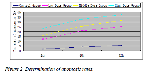 biomedres-apoptosis-rates