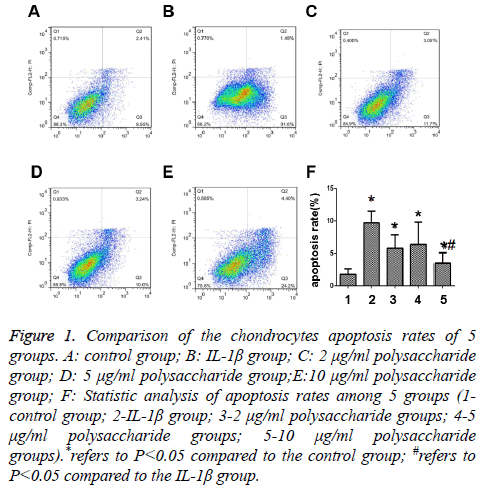 biomedres-apoptosis-rates