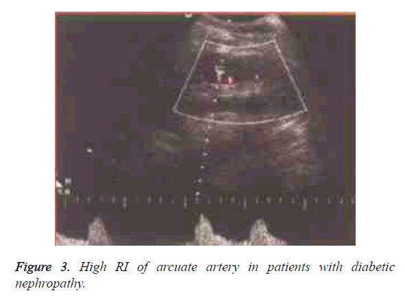 biomedres-arcuate-artery