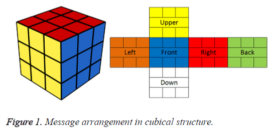 biomedres-arrangement-cubical-structure