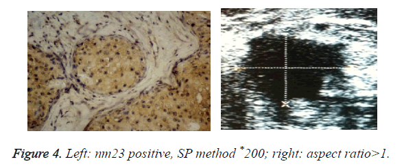 biomedres-aspect-ratio