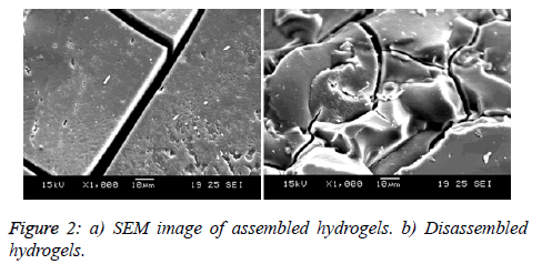 biomedres-assembled-hydrogels