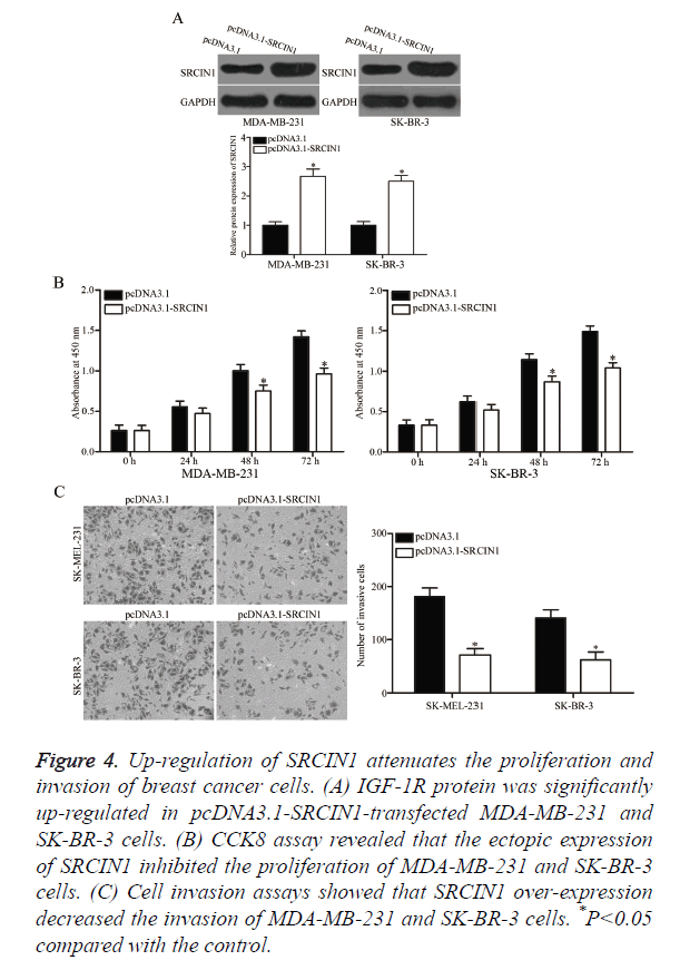 biomedres-attenuates-proliferation