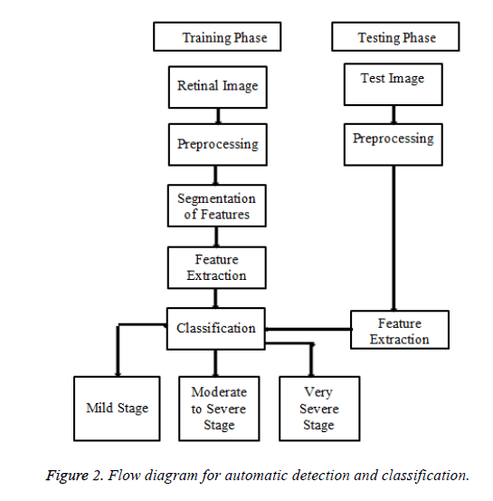 biomedres-automatic-detection