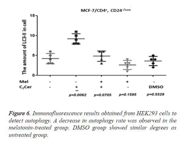 biomedres-autophagy-rate