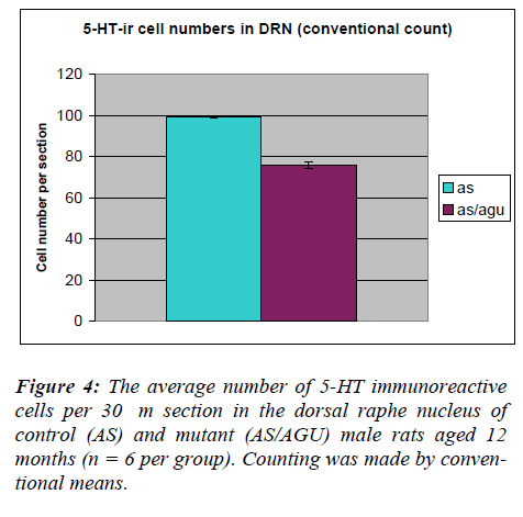 biomedres-average-immunoreactive-cells