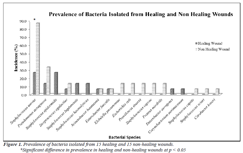 biomedres-bacteria-healing-non-healing-wounds