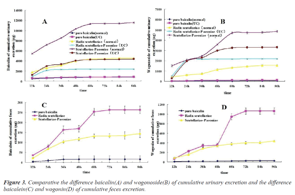 biomedres-baicalin-wogonoside-cumulative-urinary-excretion