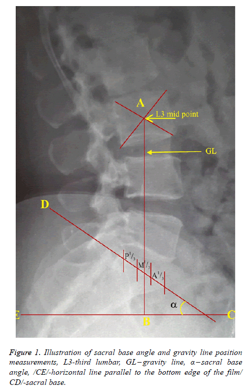 biomedres-base-angle