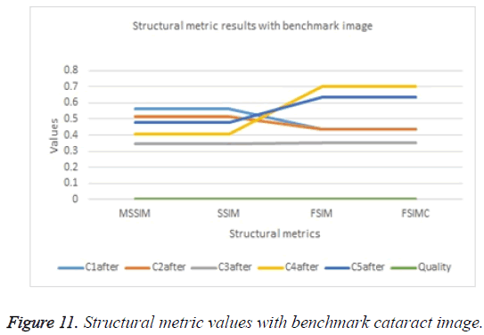 biomedres-benchmark-cataract-image