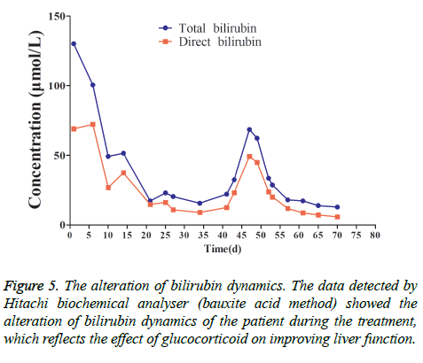 biomedres-bilirubin-dynamics