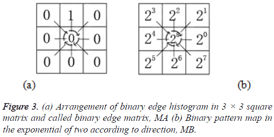 biomedres-binary-edge-histogram