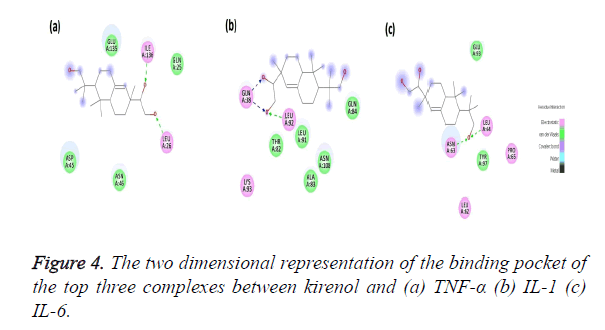 biomedres-binding-pocket