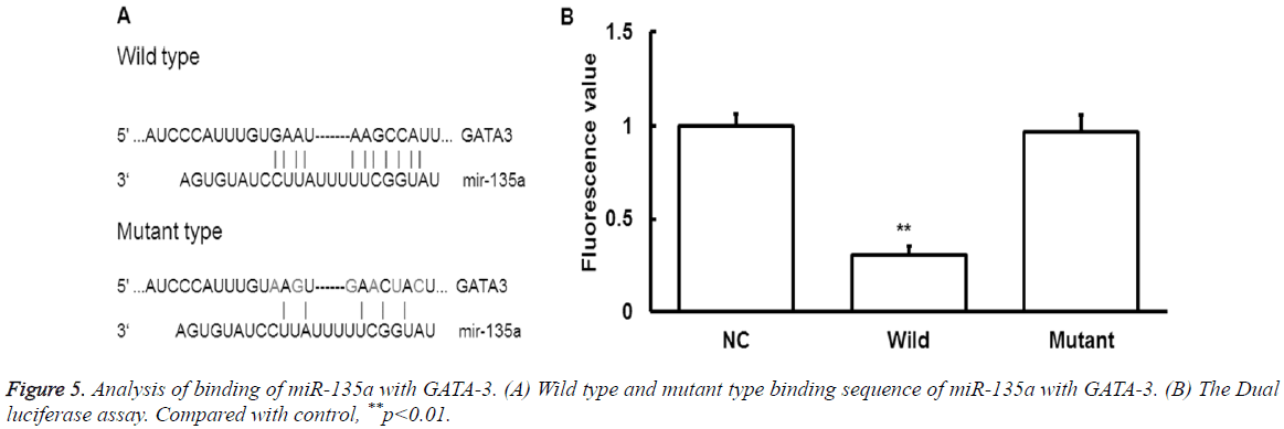 biomedres-binding-sequence