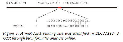 biomedres-binding-site
