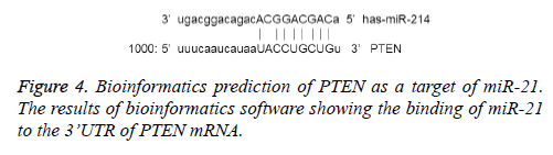 biomedres-bioinformatics-software