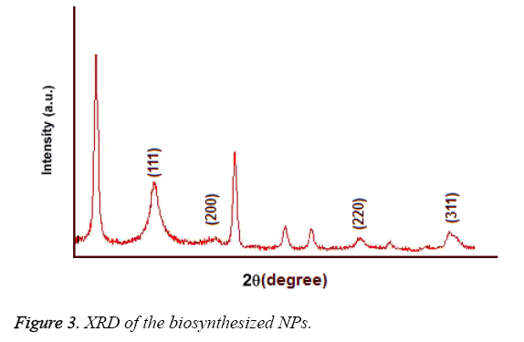 biomedres-biosynthesized-NPs