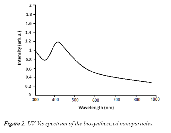 biomedres-biosynthesized-nanoparticles