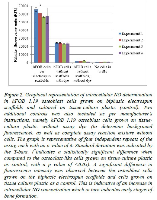 biomedres-biphasic-electrospun