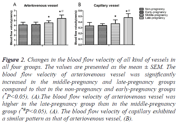 biomedres-blood-flow-velocity