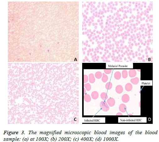 biomedres-blood-images