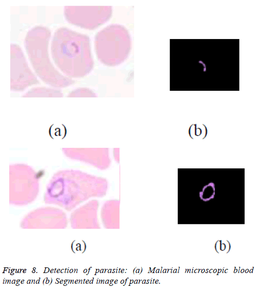 biomedres-blood-images