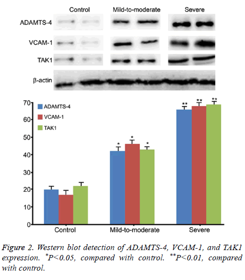 biomedres-blot-detection