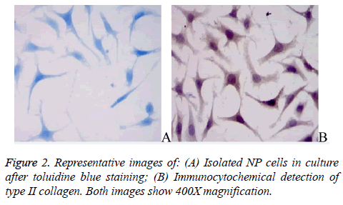 biomedres-blue-staining