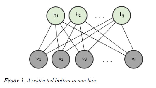 biomedres-boltzman-machine