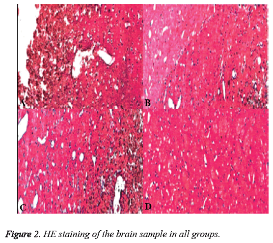 biomedres-brain-sample-groups