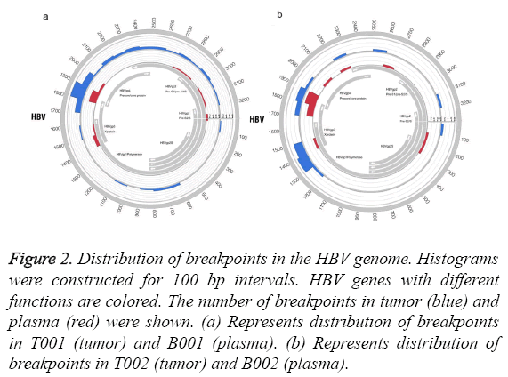 biomedres-breakpoints-HBV-genome