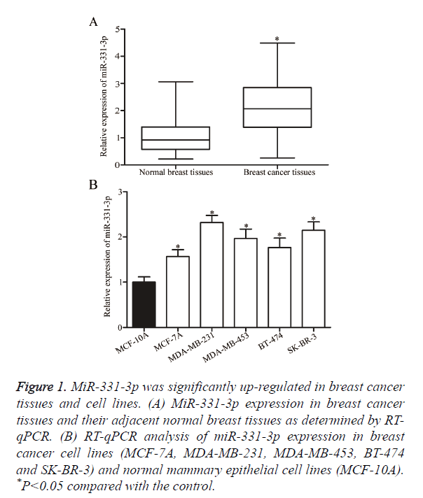 biomedres-breast-cancer