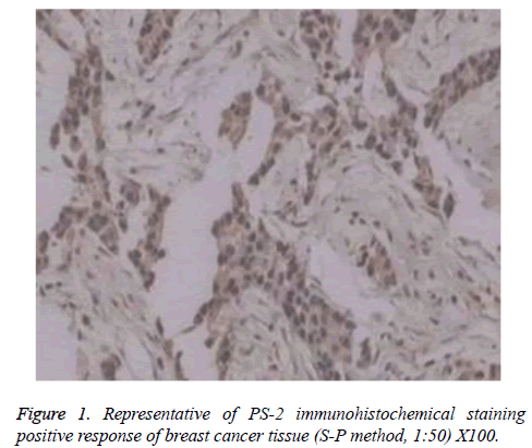 biomedres-breast-cancer