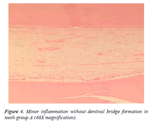 biomedres-bridge-formation