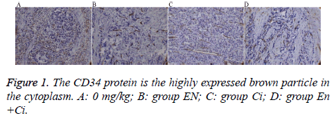 biomedres-brown-particle