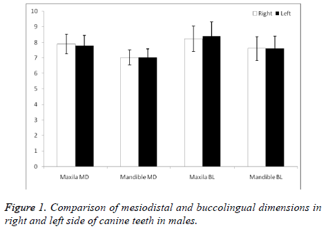 biomedres-buccolingual-dimensions