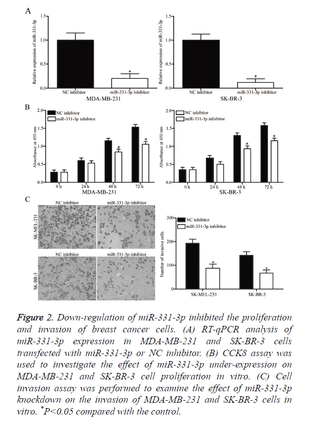 biomedres-cancer-cells