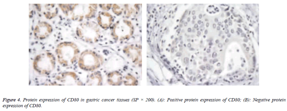 biomedres-cancer-tissues