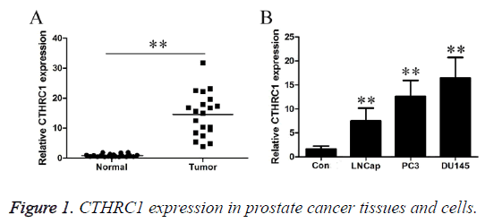 biomedres-cancer-tissues-cells