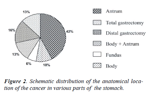 biomedres-cancer-various-parts