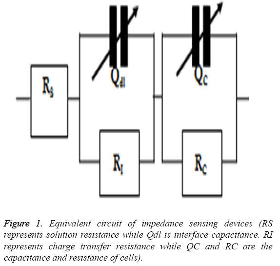 biomedres-capacitance-resistance-cells