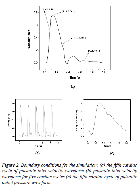 biomedres-cardiac-cycle