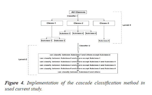 biomedres-cascade-classification