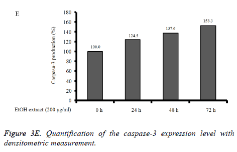 biomedres-caspase-3-expression-level