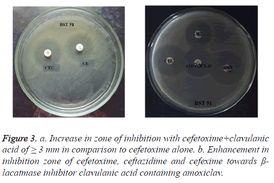 biomedres-cefetoxime-alone